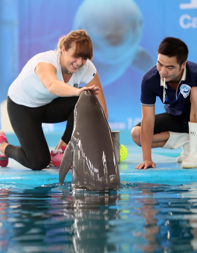 强大的竞争 强大的竞争