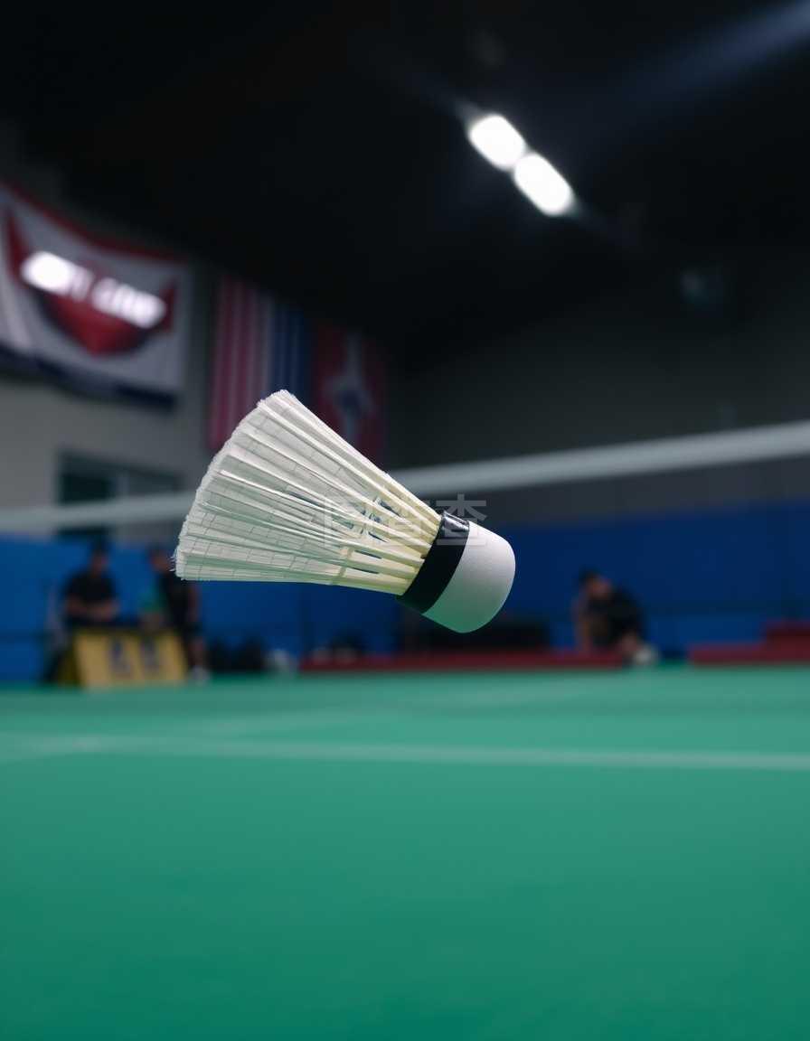 发展中不可 发展中不可