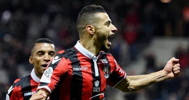 门将干扰节 门将干扰节